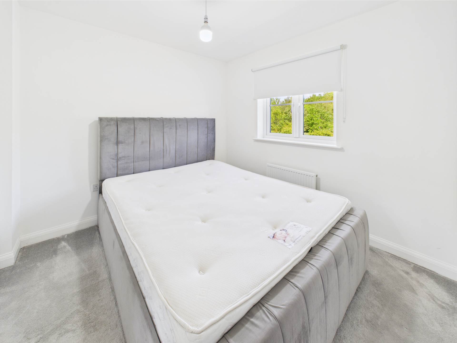 Prospecthill Road, Motherwell, Image 15