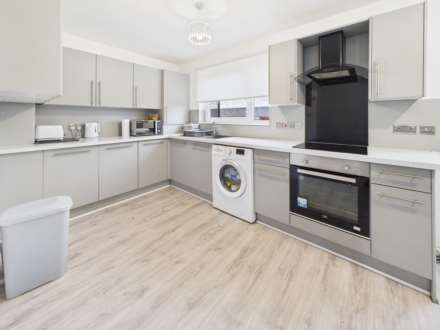 Hamiltonhill Gardens, Glasgow, Image 5