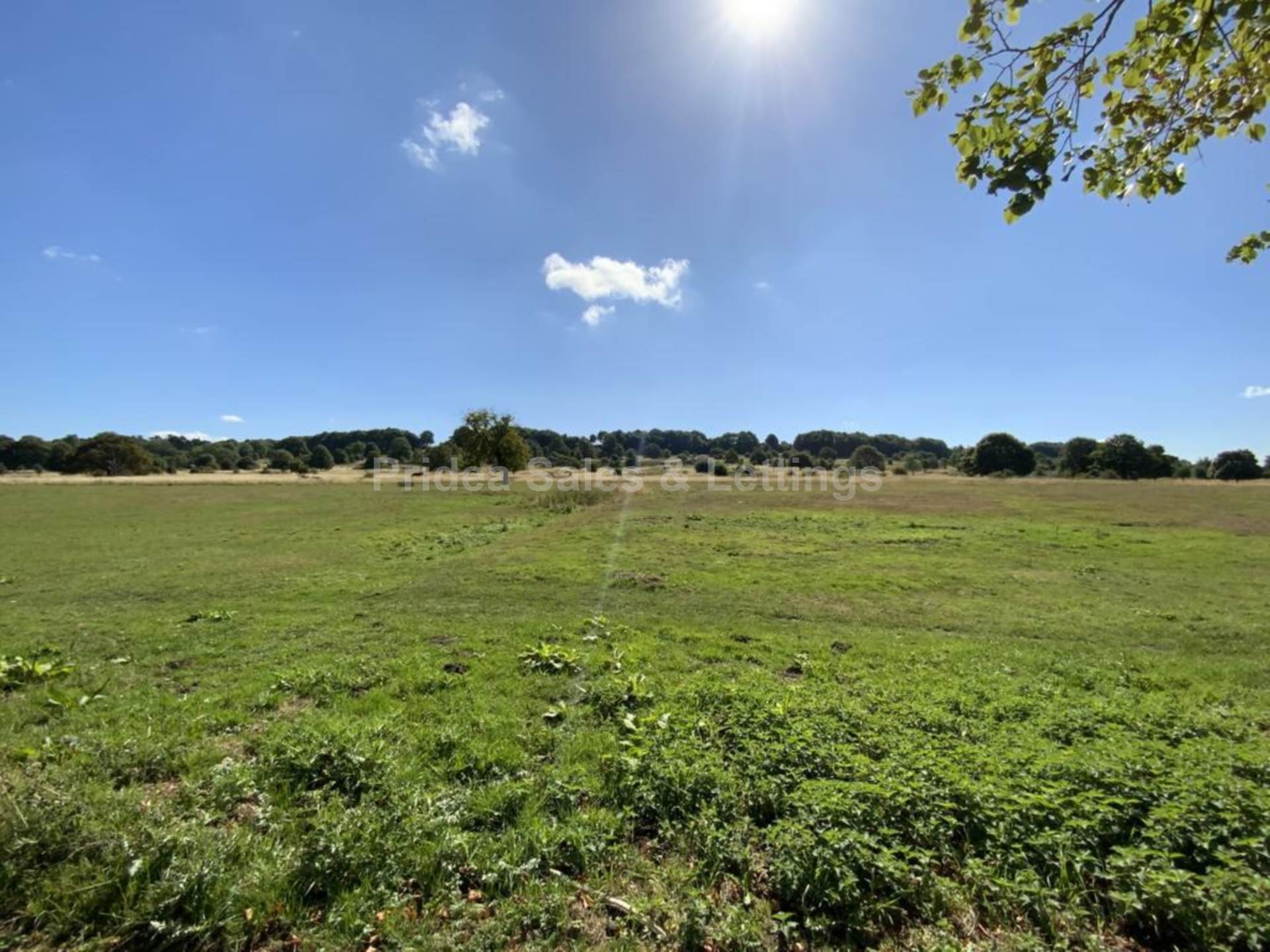 South Park, Lincoln, Image 23