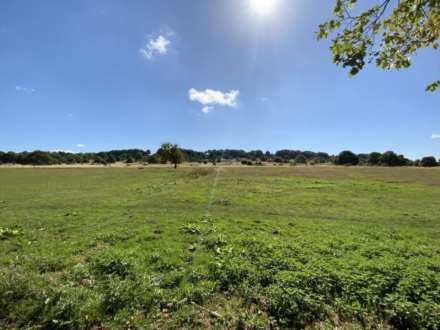 South Park, Lincoln, Image 23