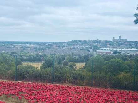 South Park, Lincoln, Image 25