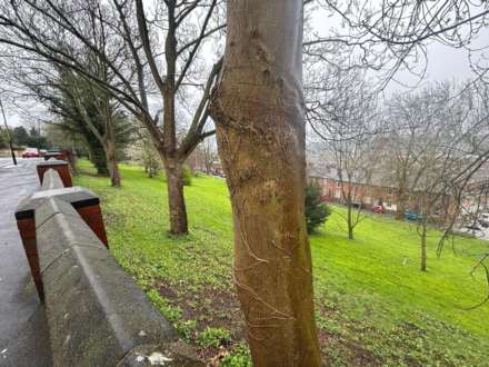 Lindum Road, Lincoln, Image 24