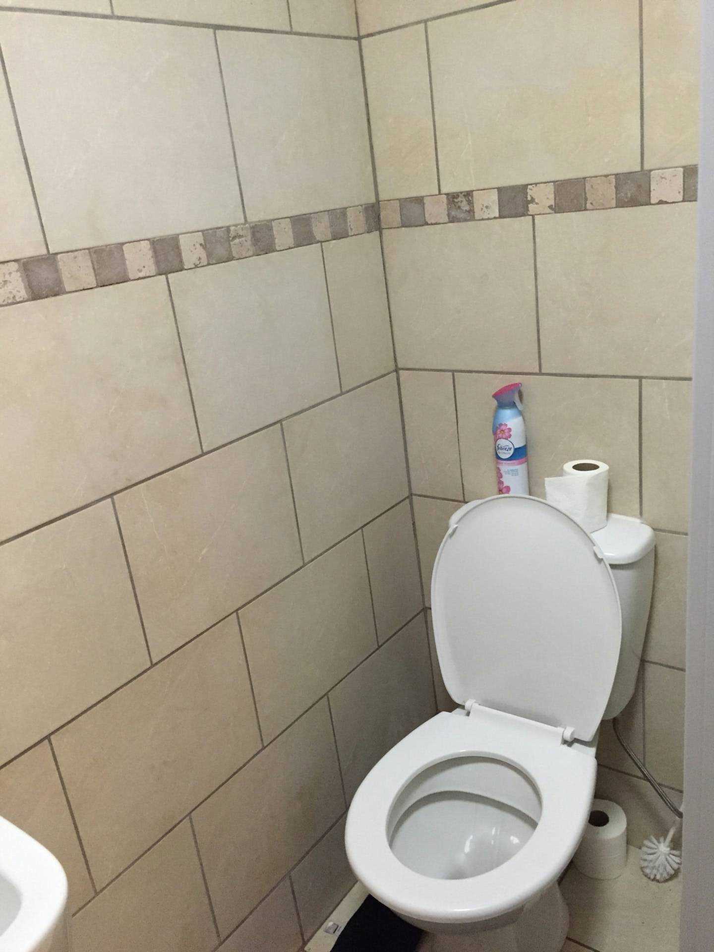 Pearl Street, D, Cardiff, Image 6