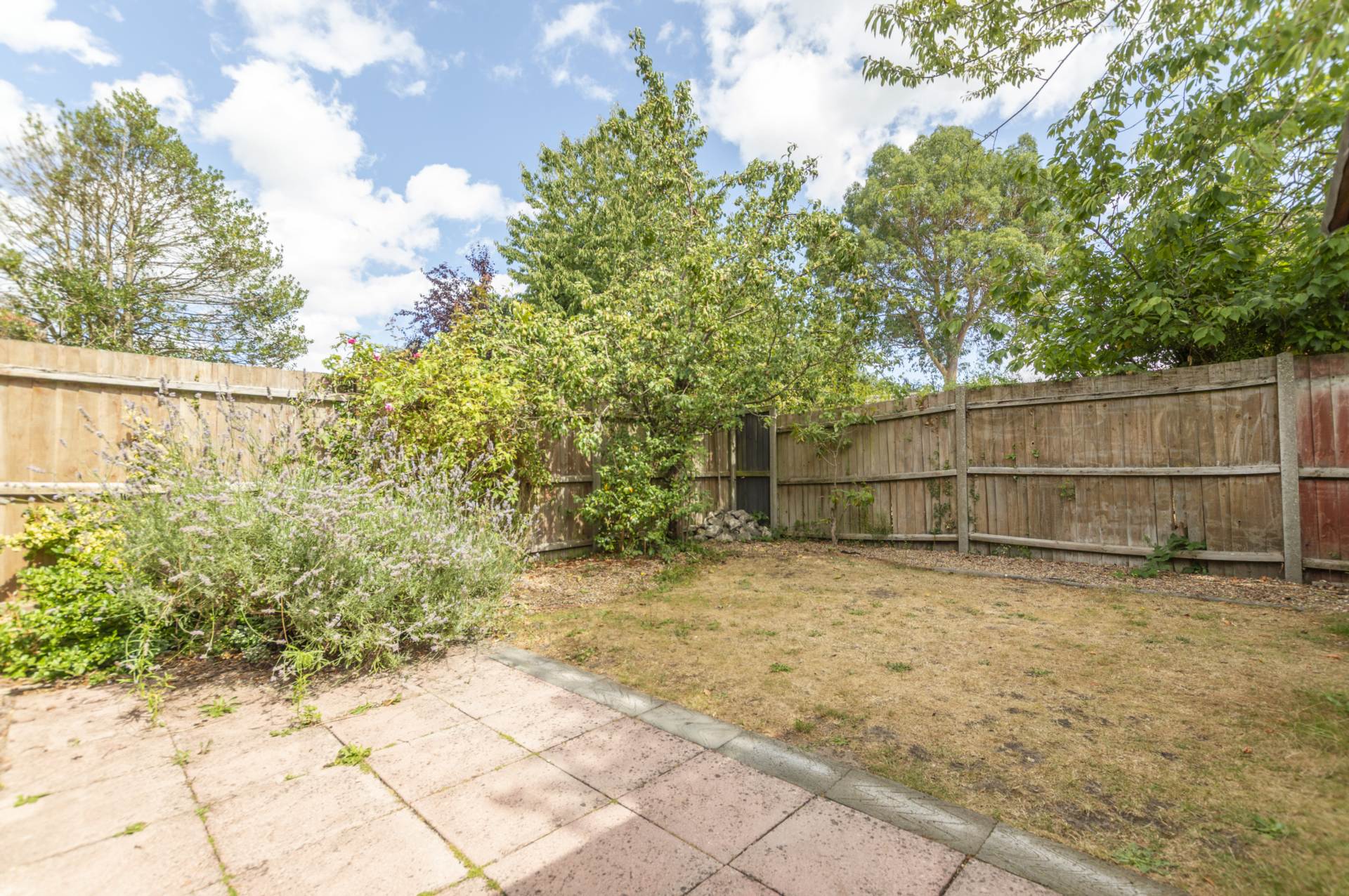 Main Photo