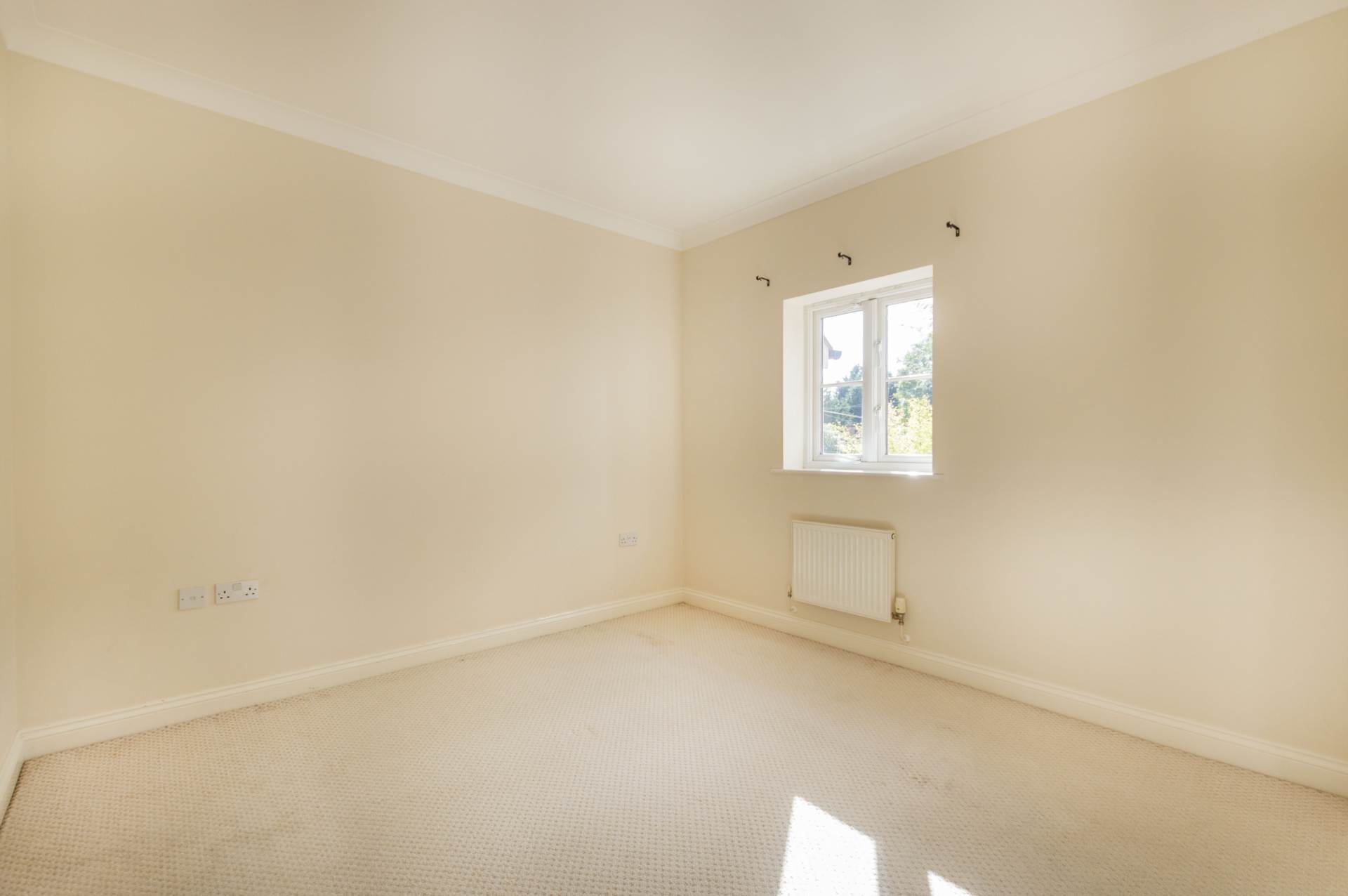 Main Photo
