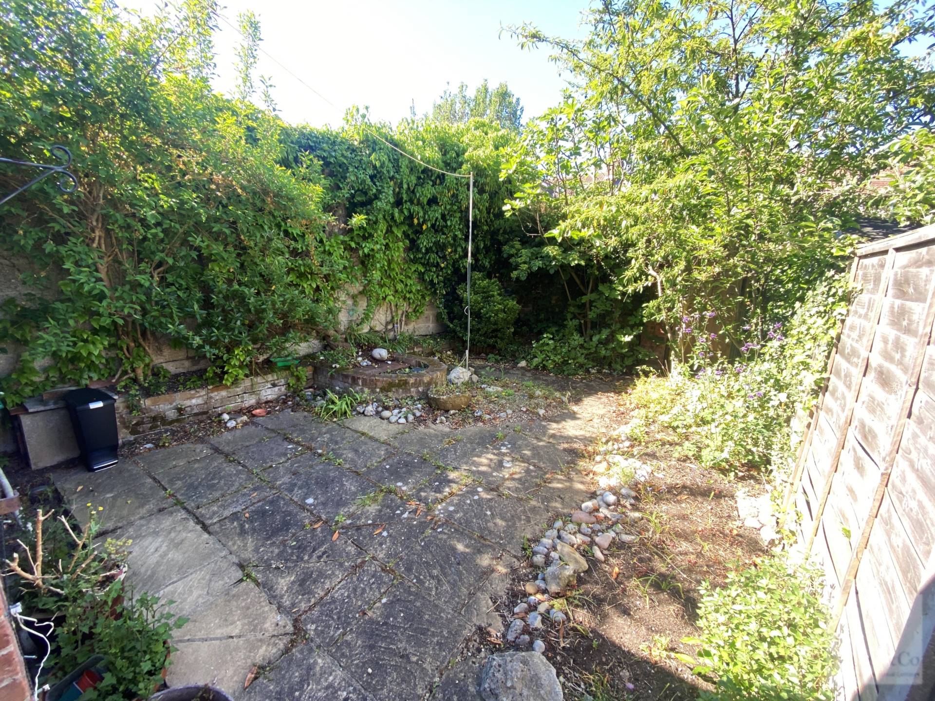 Main Photo