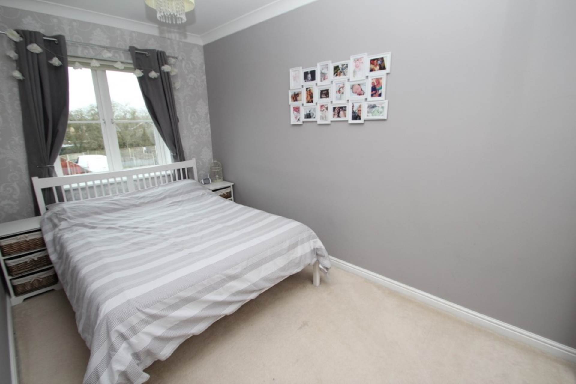 Main Photo