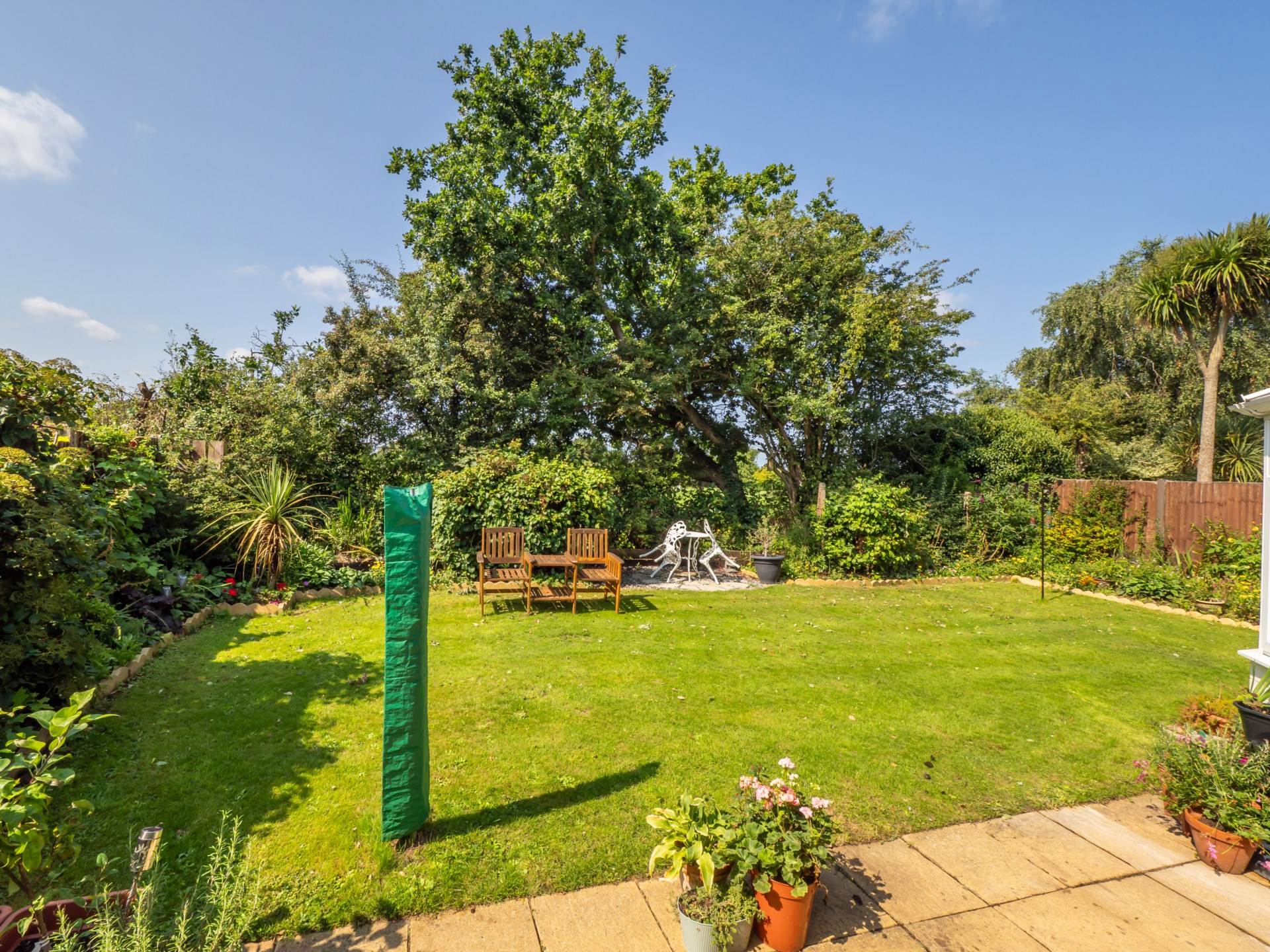 Main Photo