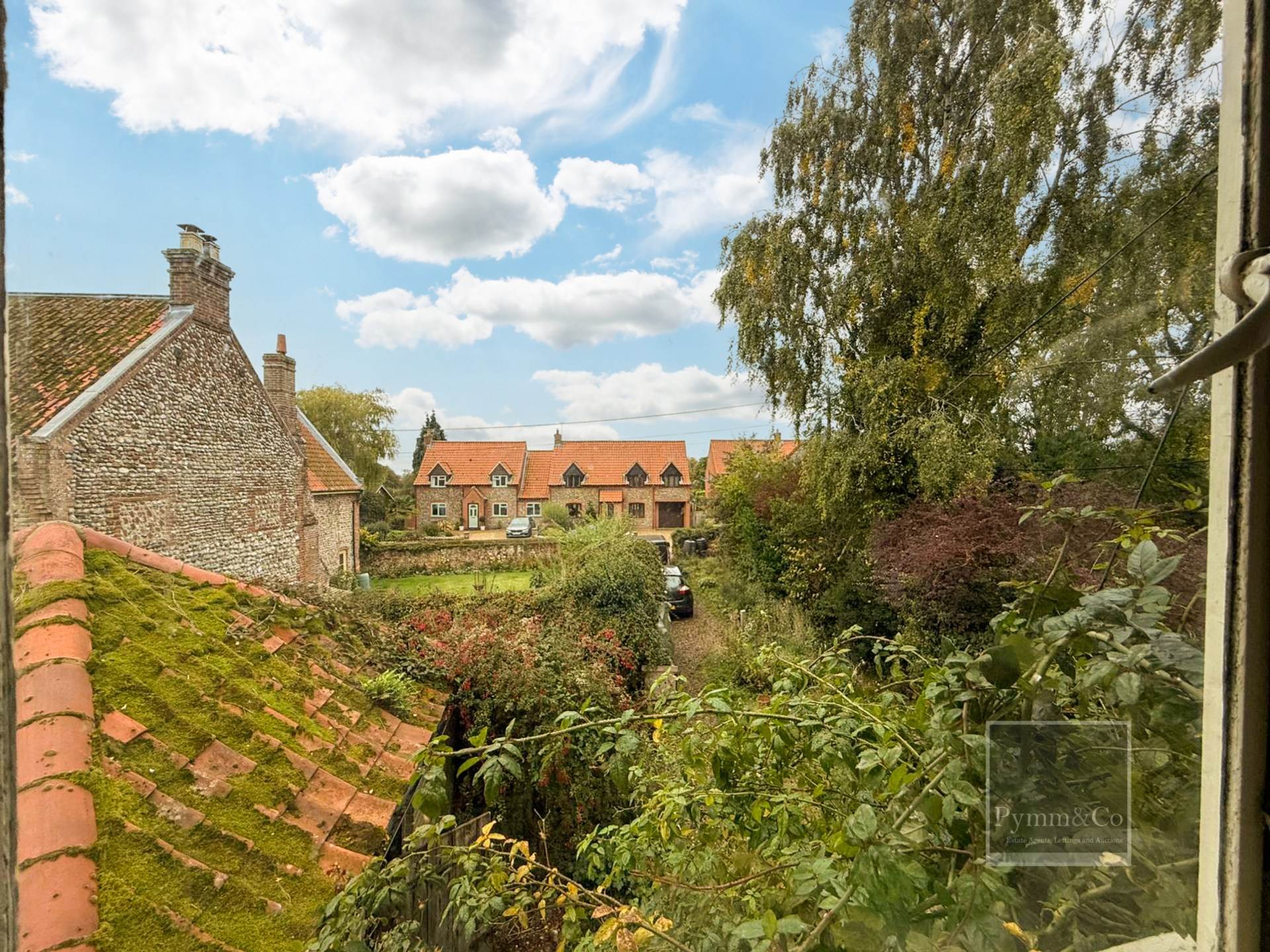Main Photo