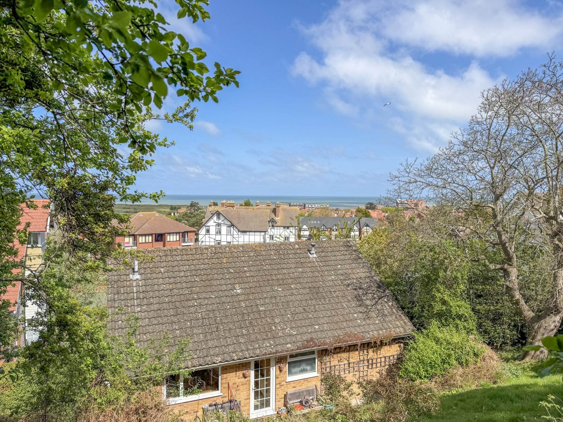 Main Photo