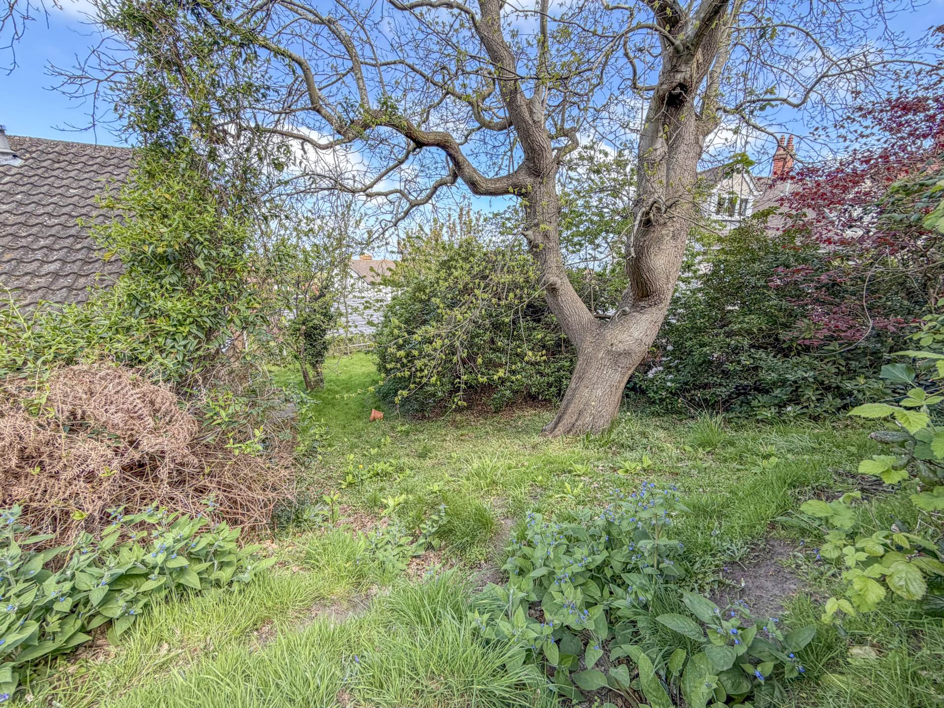 Main Photo