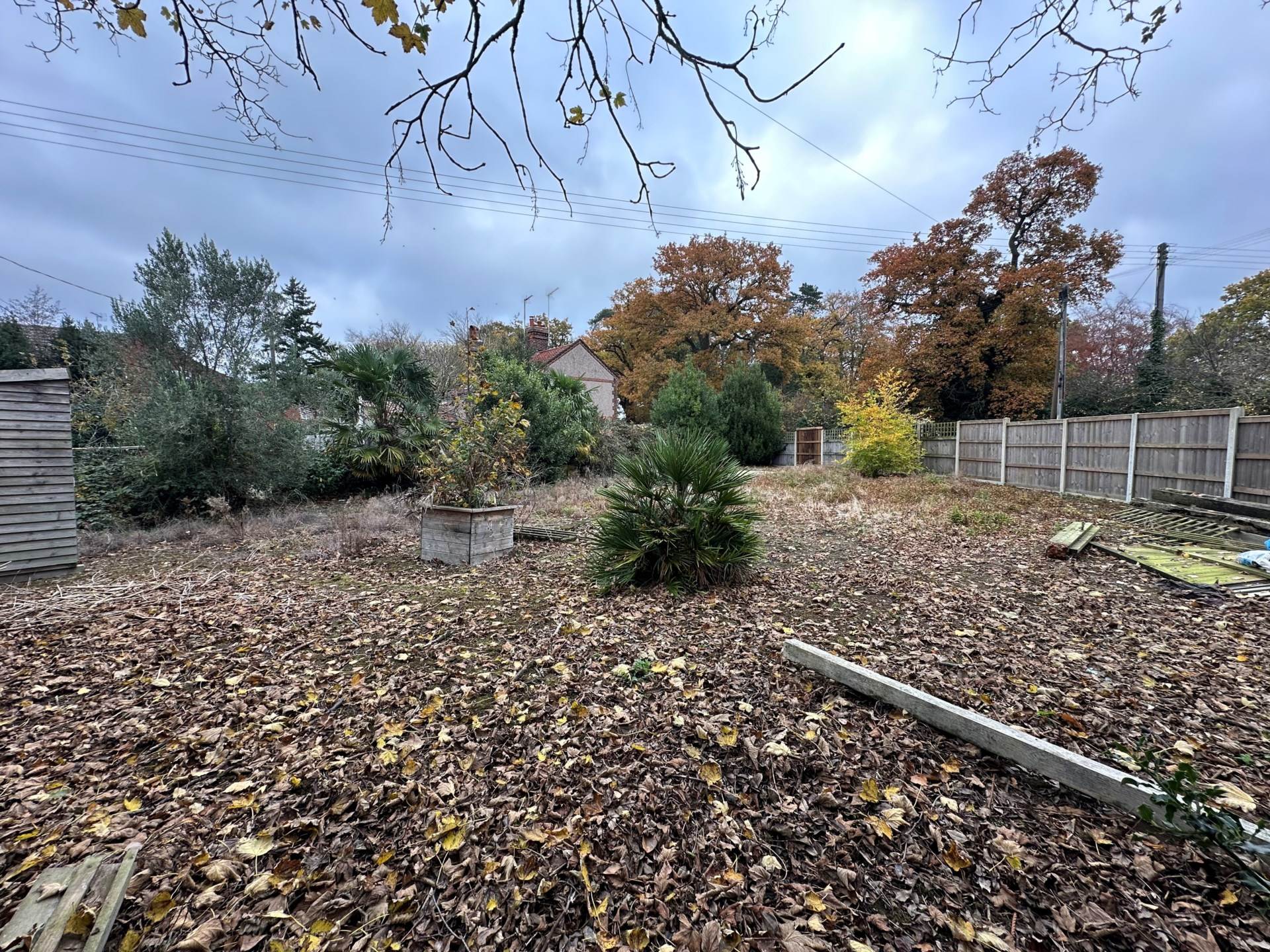 Main Photo