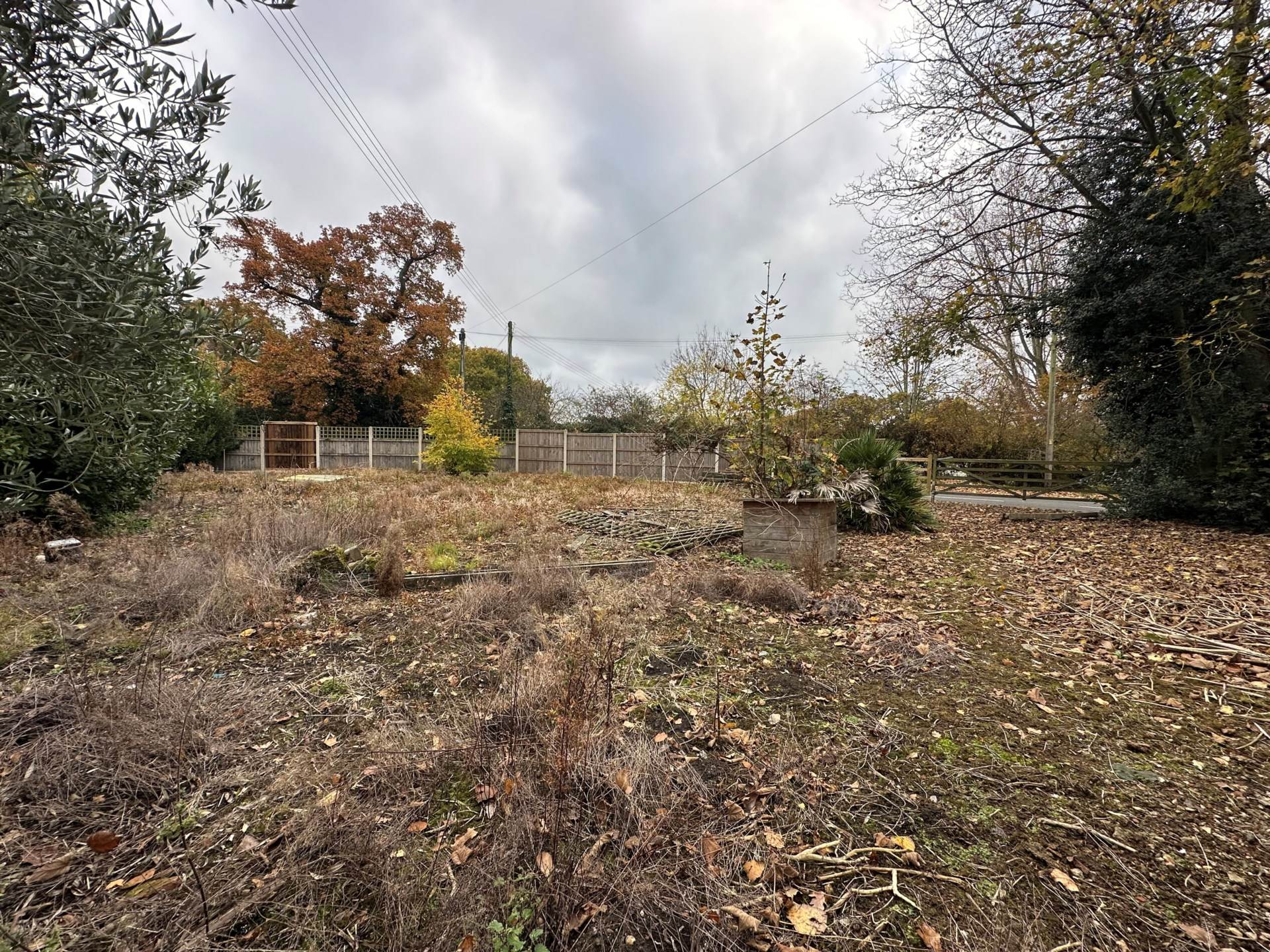 Main Photo