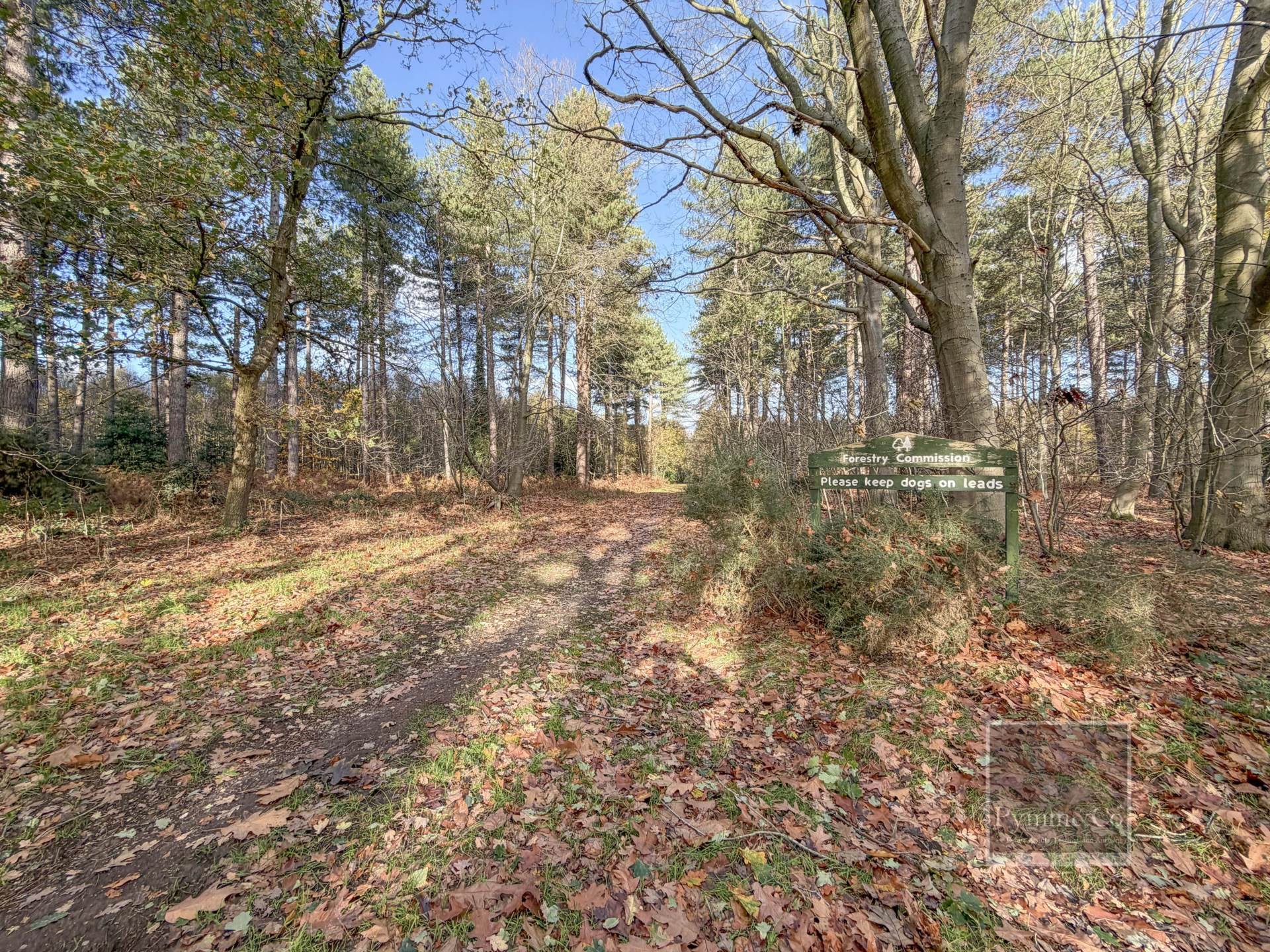 Main Photo