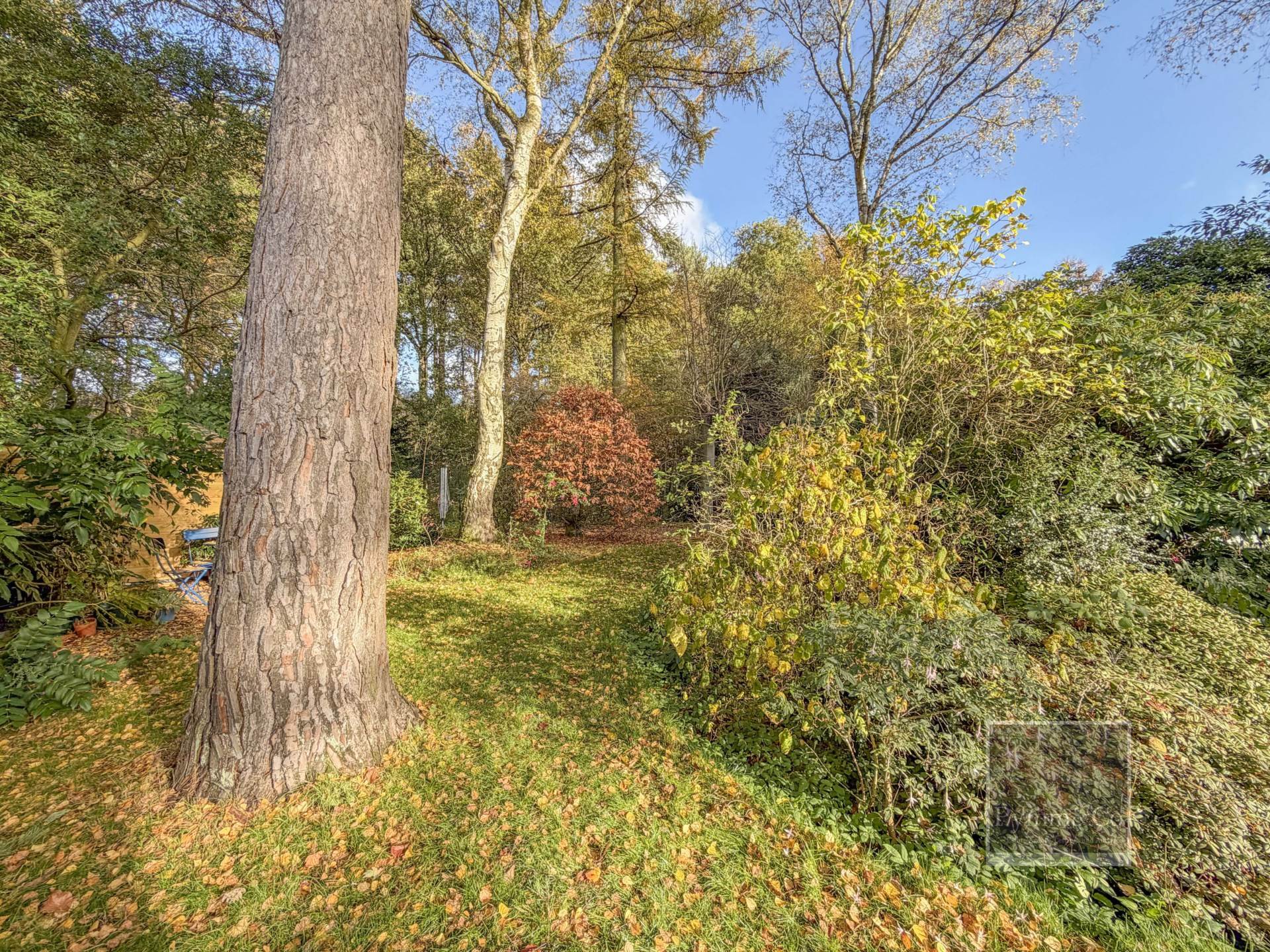 Main Photo