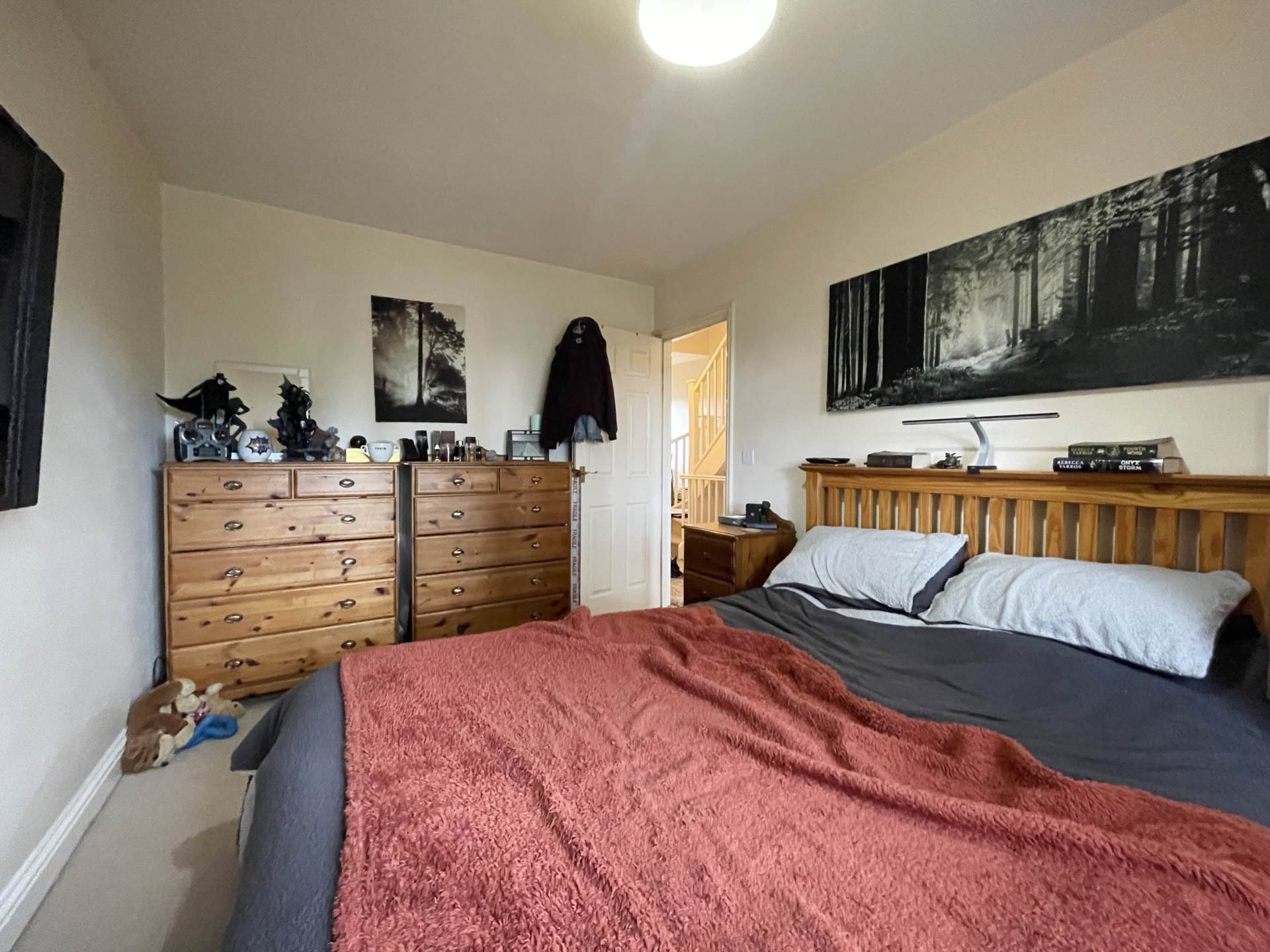 Main Photo