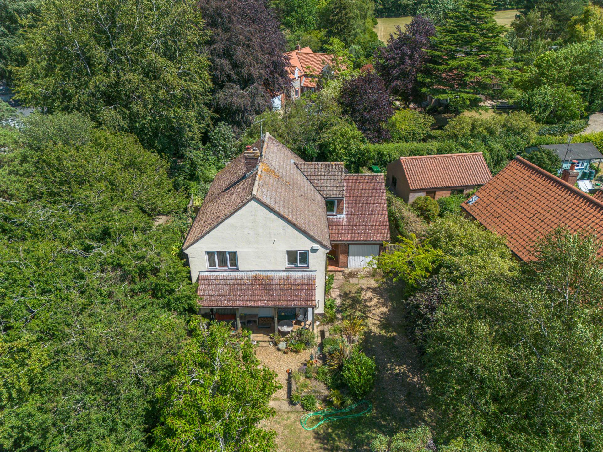 Main Photo