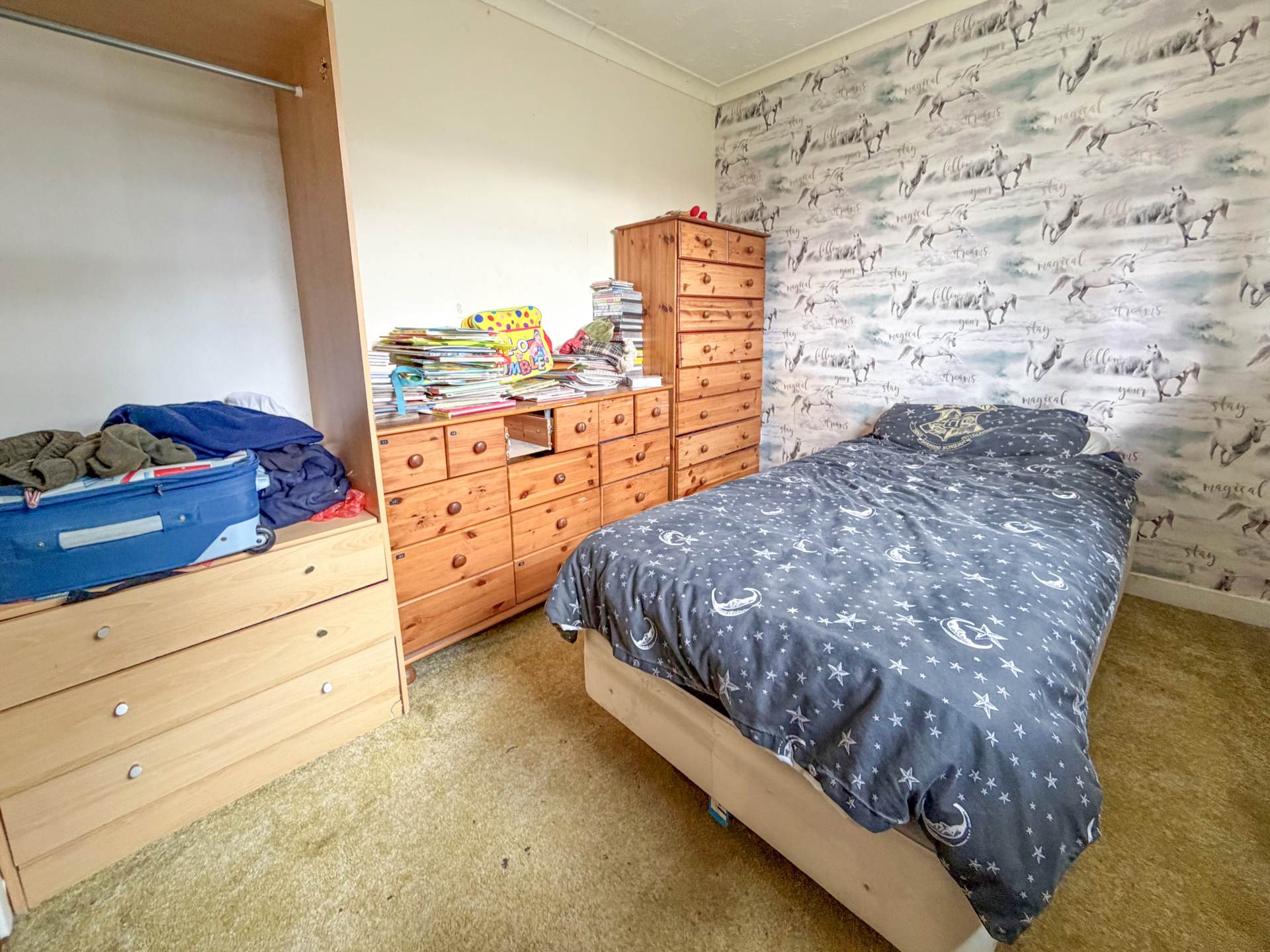 Main Photo