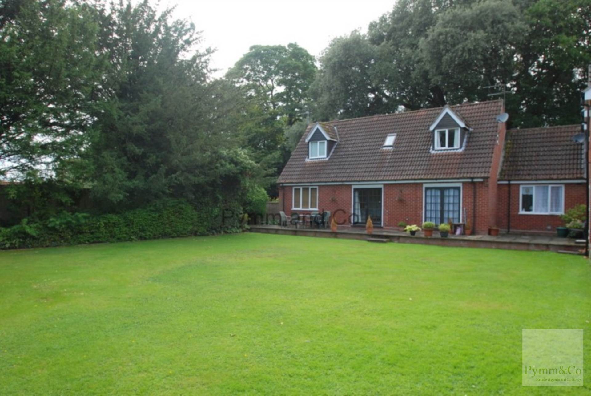 Main Photo
