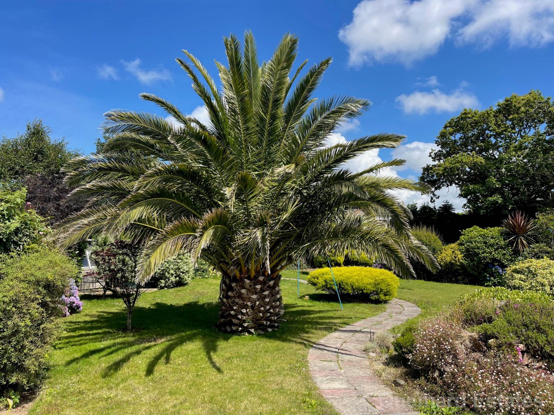 La Rue De Bel Air, St Mary, Image 9