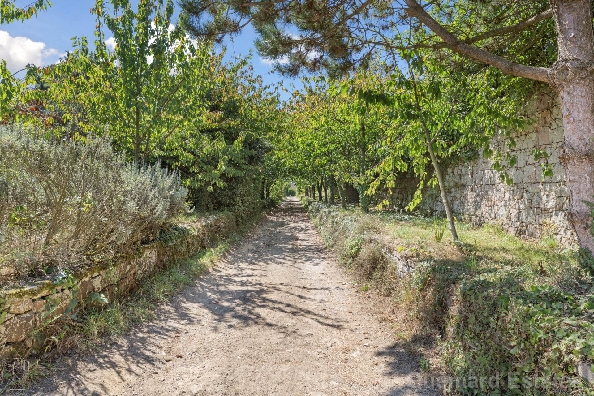 La Route De Plemont, St Ouen, Image 2