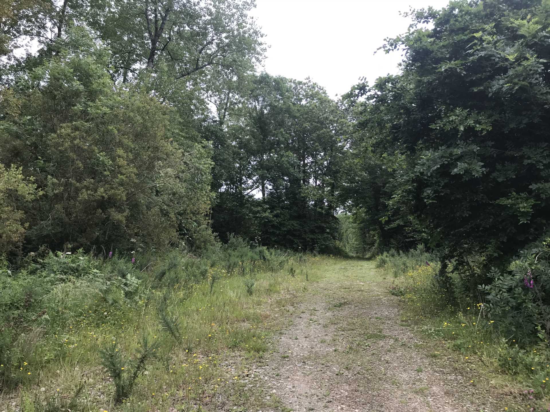 Polehore, Killurin, Glynn, Co. Wexford