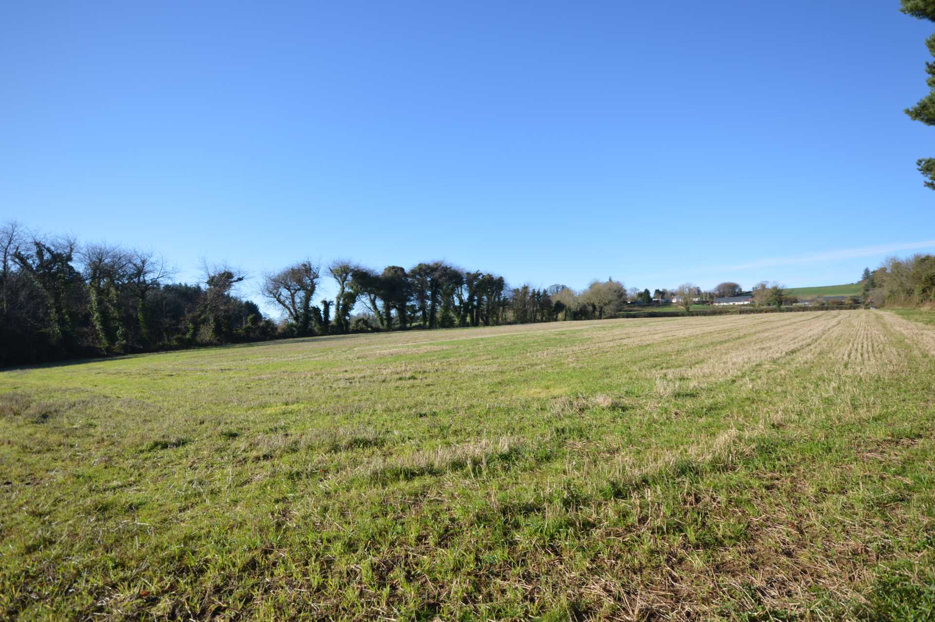 Coolroe, Tinahely, Co. Wicklow