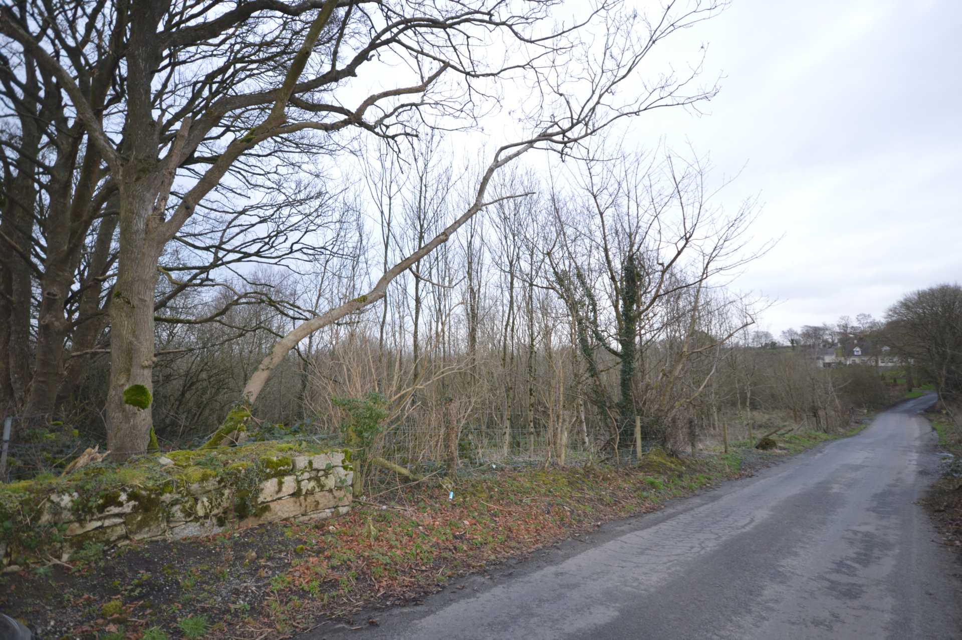 C.19 Acre Forestry Holding at Knockeen, Tullow, Co Carlow