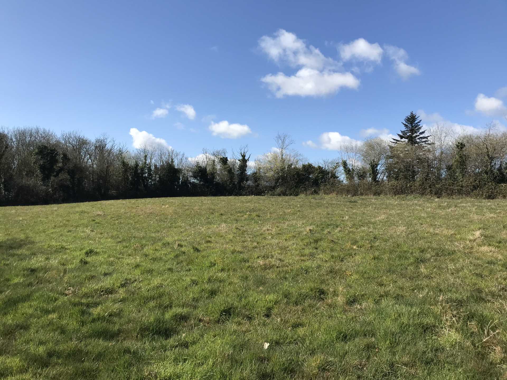 Ashwood Upper, Arklow, Co. Wicklow