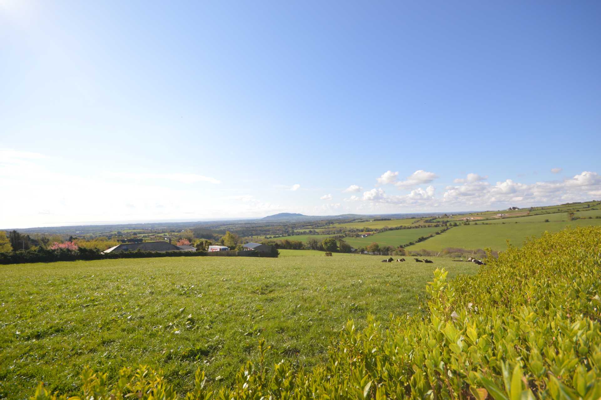 Moneyribbon, Coolgreany, Gorey, Co. Wexford