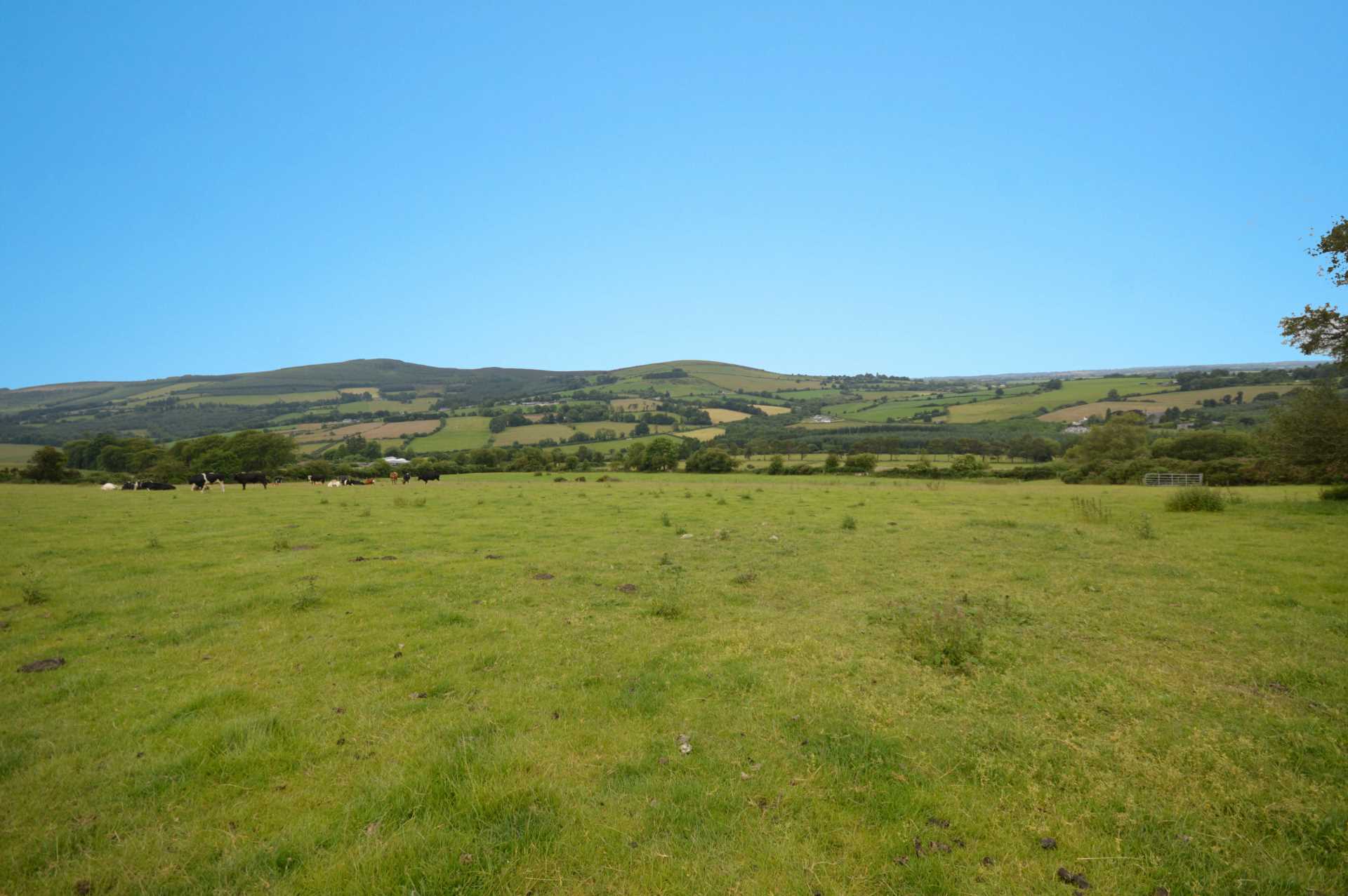 Ballymarroge, Shillelagh, Co. Wicklow