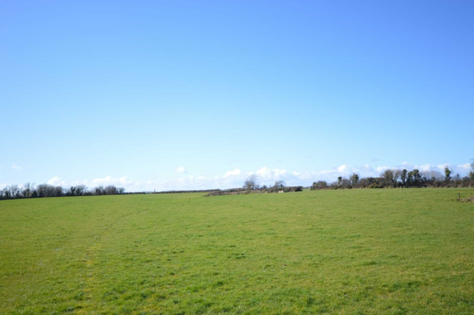 Parkannesley, Ballygarrett, Gorey, Co. Wexford, Y25 RY71