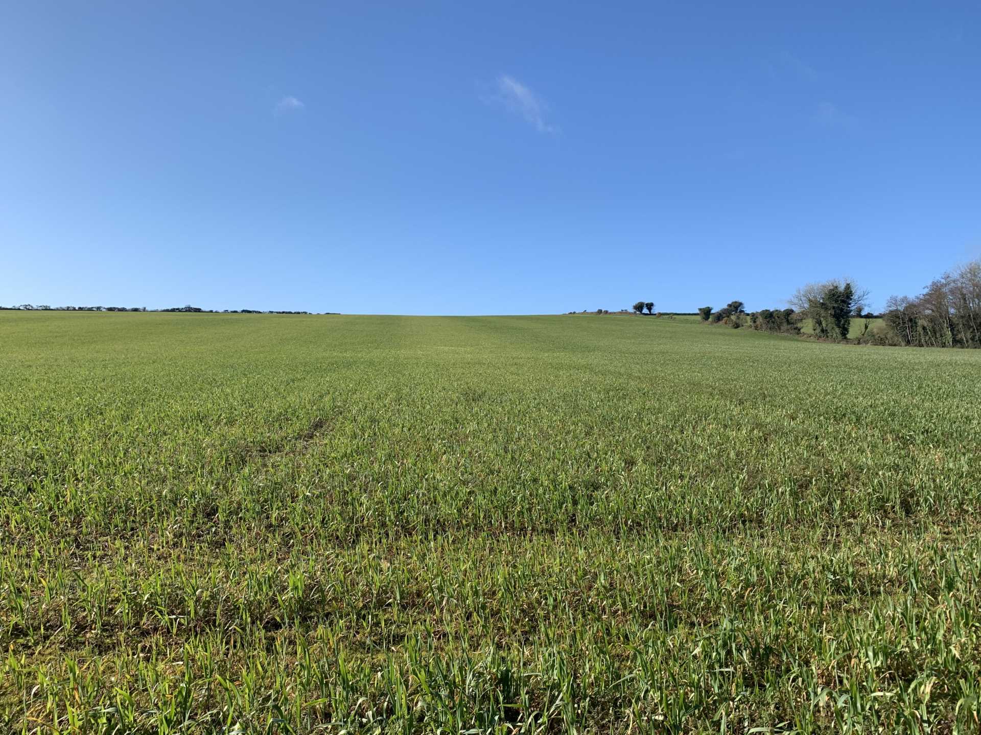 Carrigbeg, Craanford, Gorey, Co. Wexford