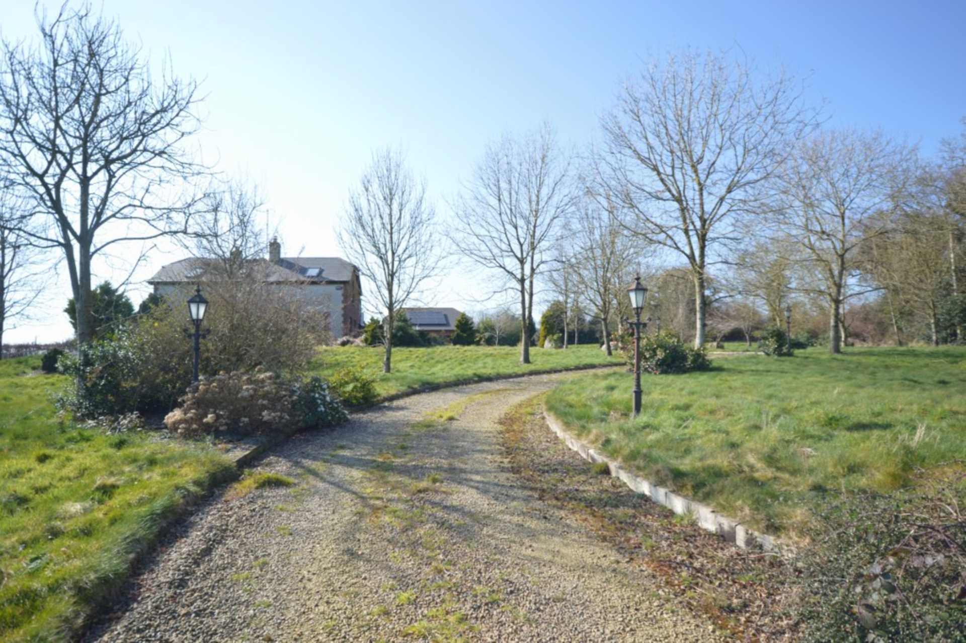 Grove Little, Hollyfort, Gorey Y25 T292, Y25 T292