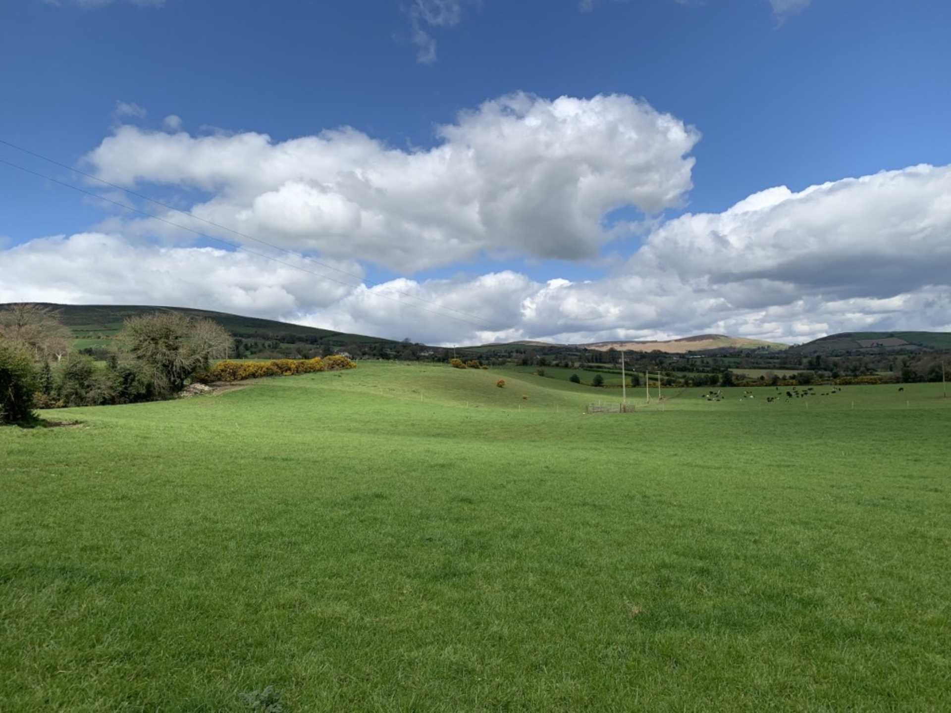Ballyrahan, Tinahely, Co. Wicklow, Y14 R002