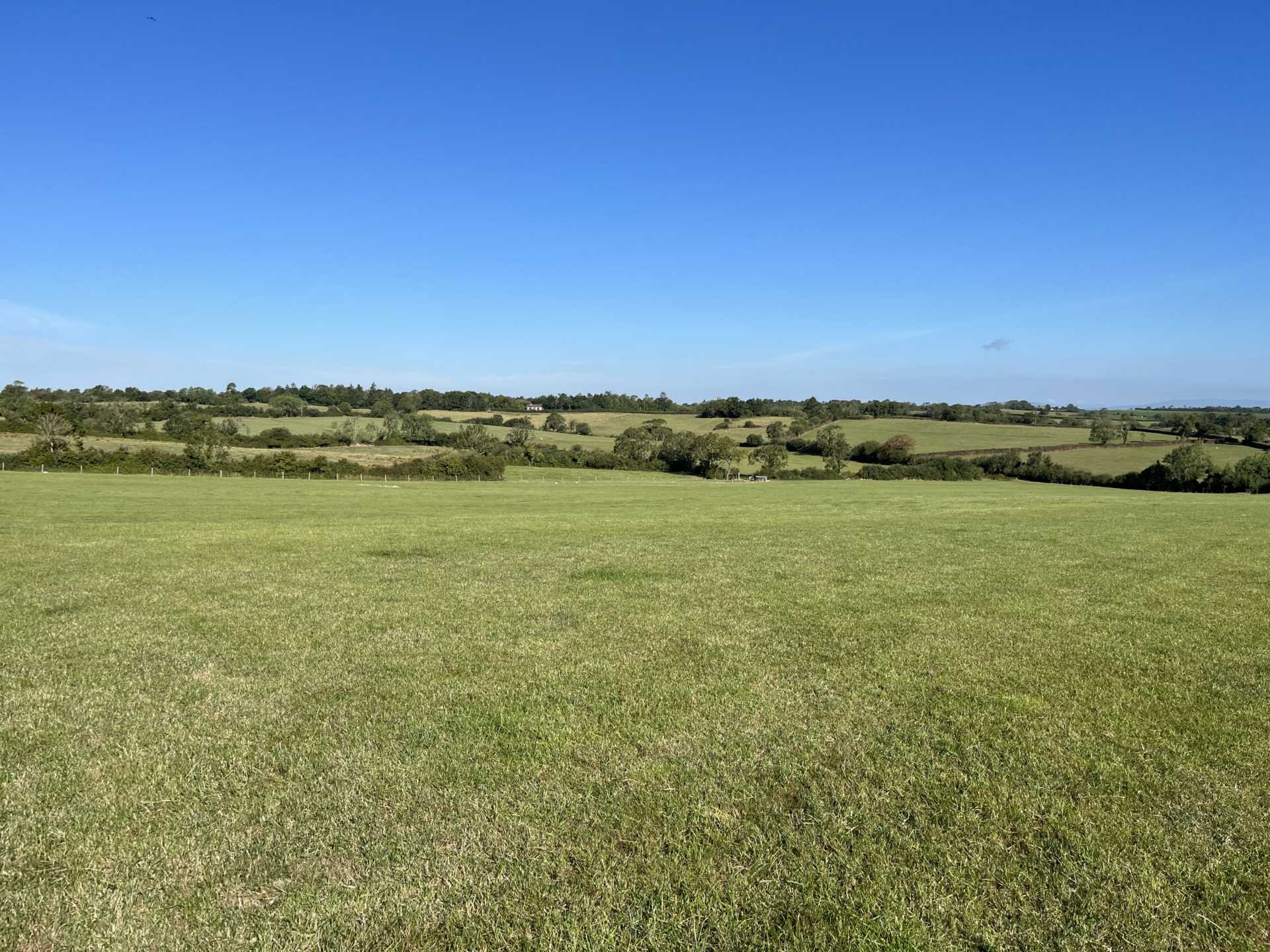 Barnaree, Kilmuckridge, Gorey, Co. Wexford