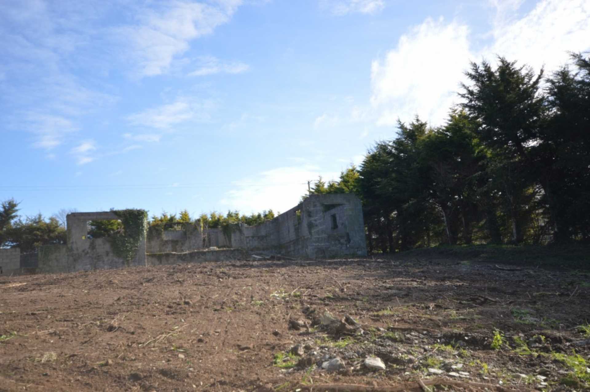 Bolinrush, Bunclody, Co. Wexford