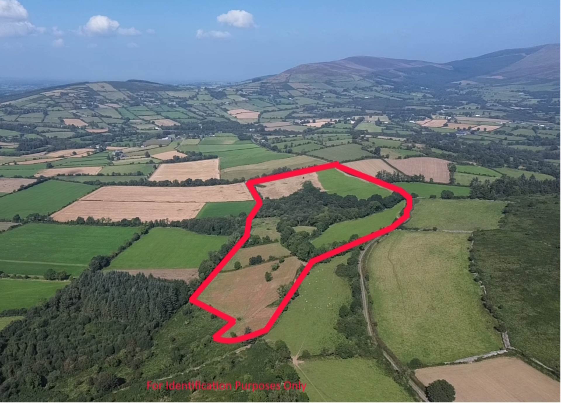 Ballinvalley, Rathanna, Borris, Co. Carlow