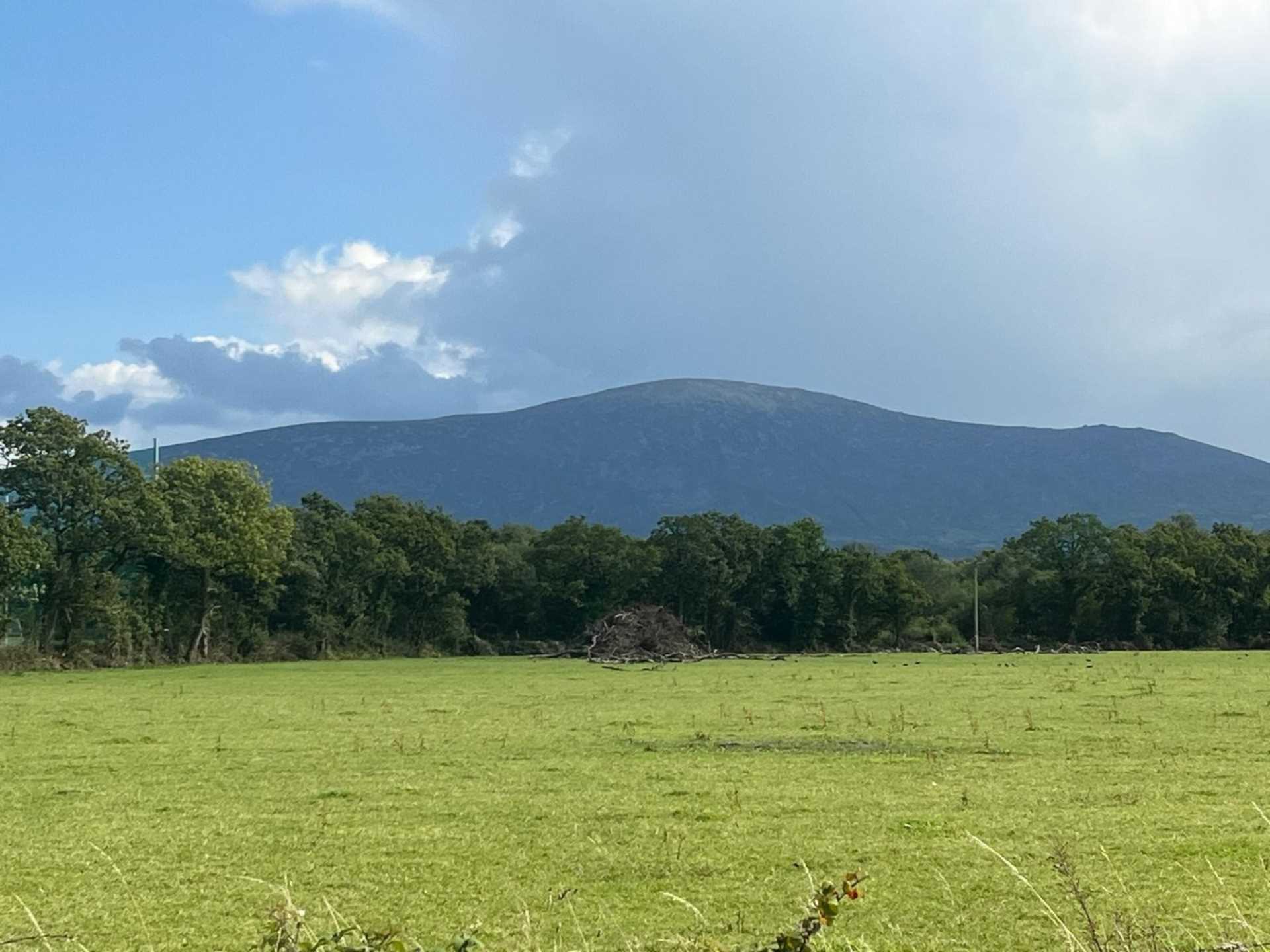 Ballynagrane, Borris, Co. Carlow