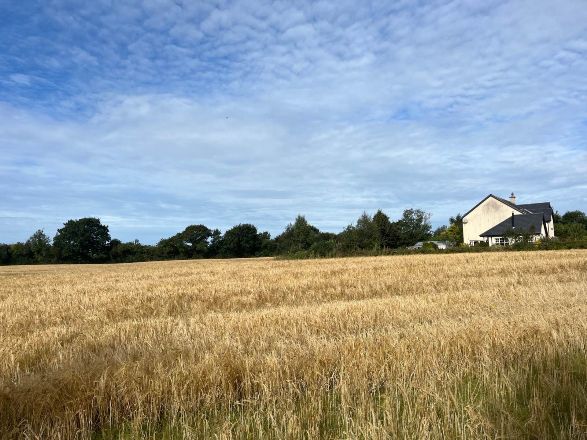 Ballyeden, Camolin, Co. Wexford