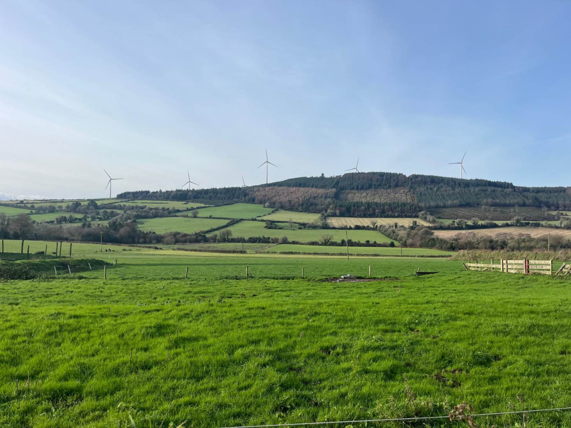 Ballybeg, Ferns, Co. Wexford
