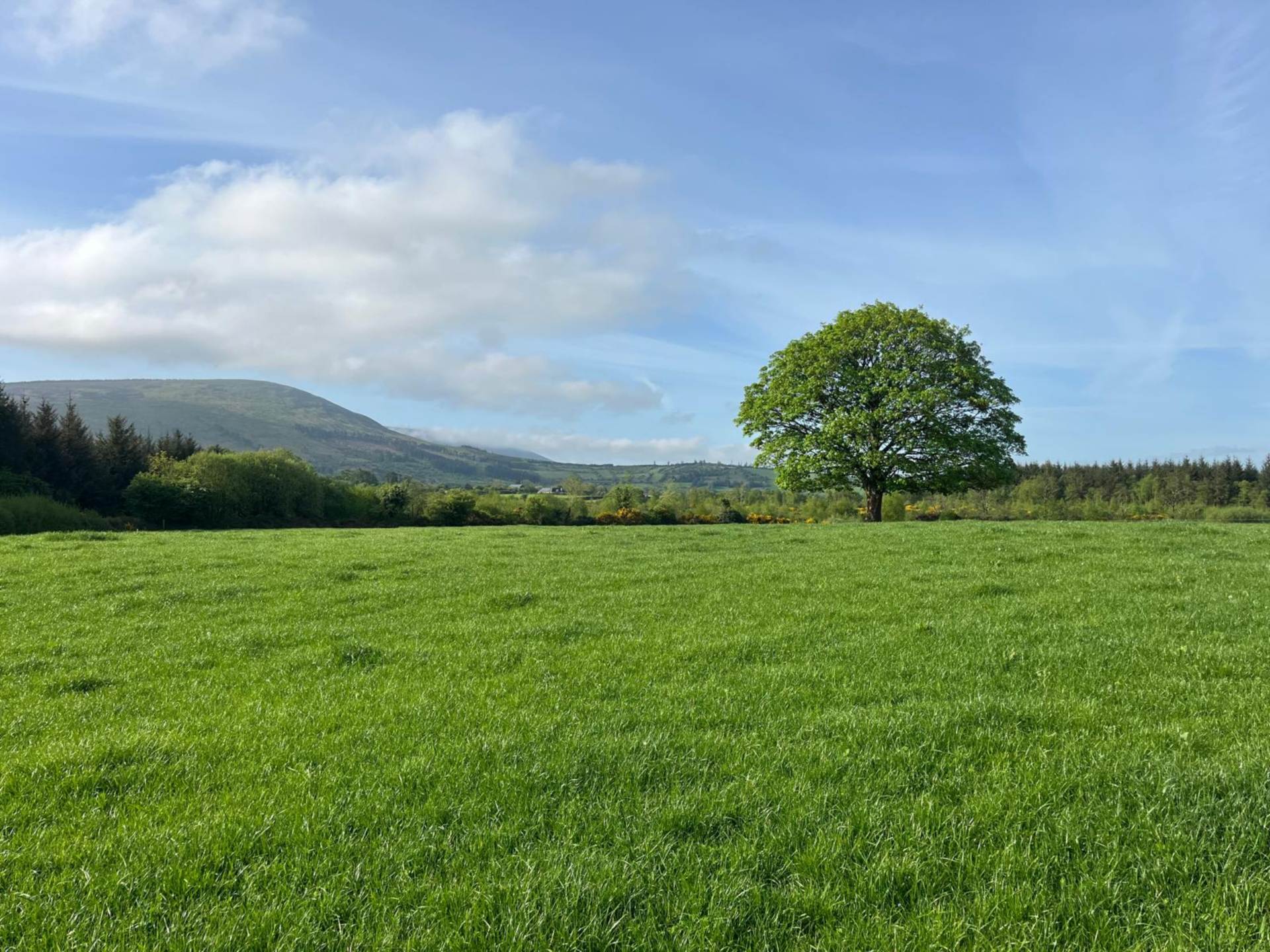 Mullannagaun & Ballyglisheen, Ballymurphy, Co. Carlow