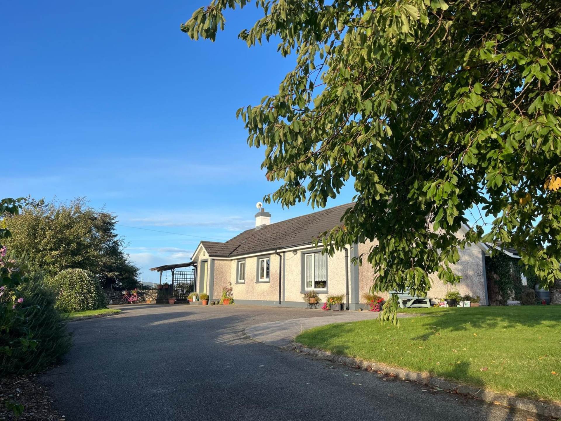 Wood Cottage, Ballyprecas, Bunclody, Co. Wexford, Y21 AE14