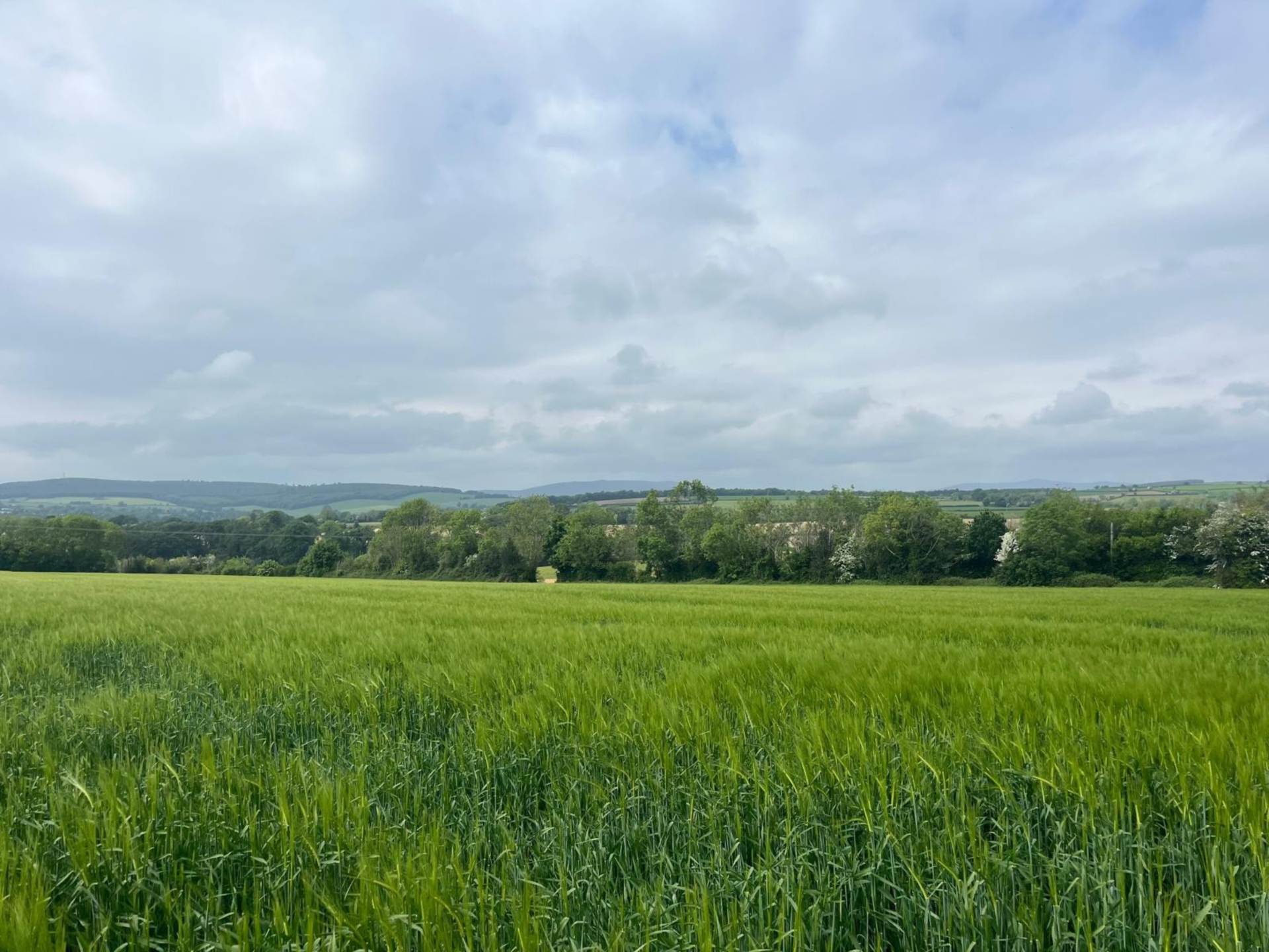 Ballyrahan, Gorey, Co. Wexford