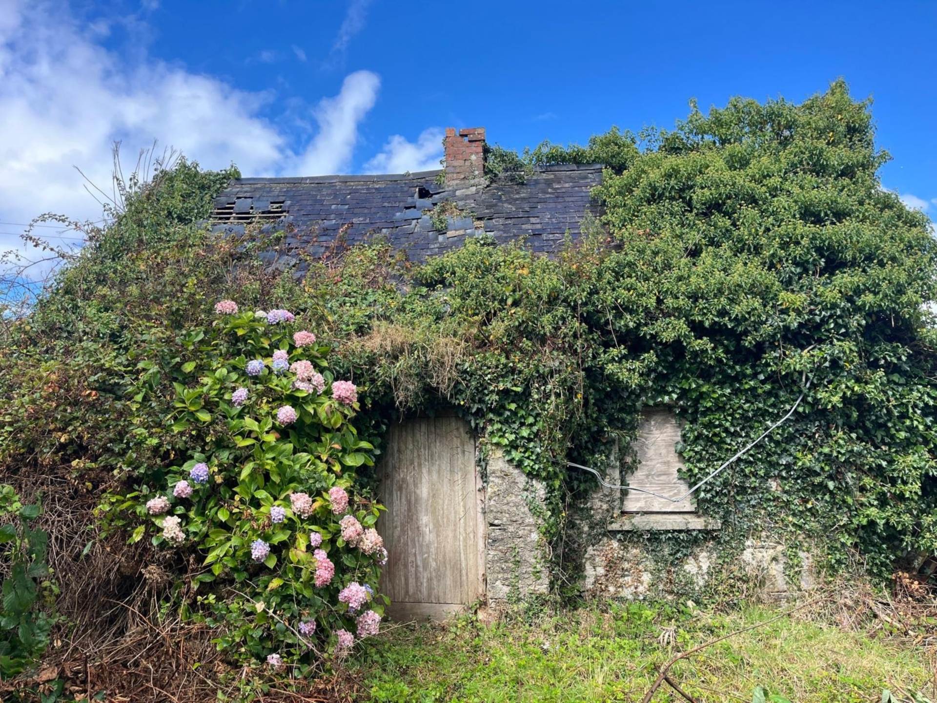 Springmount, Rathnure, Co. Wexford