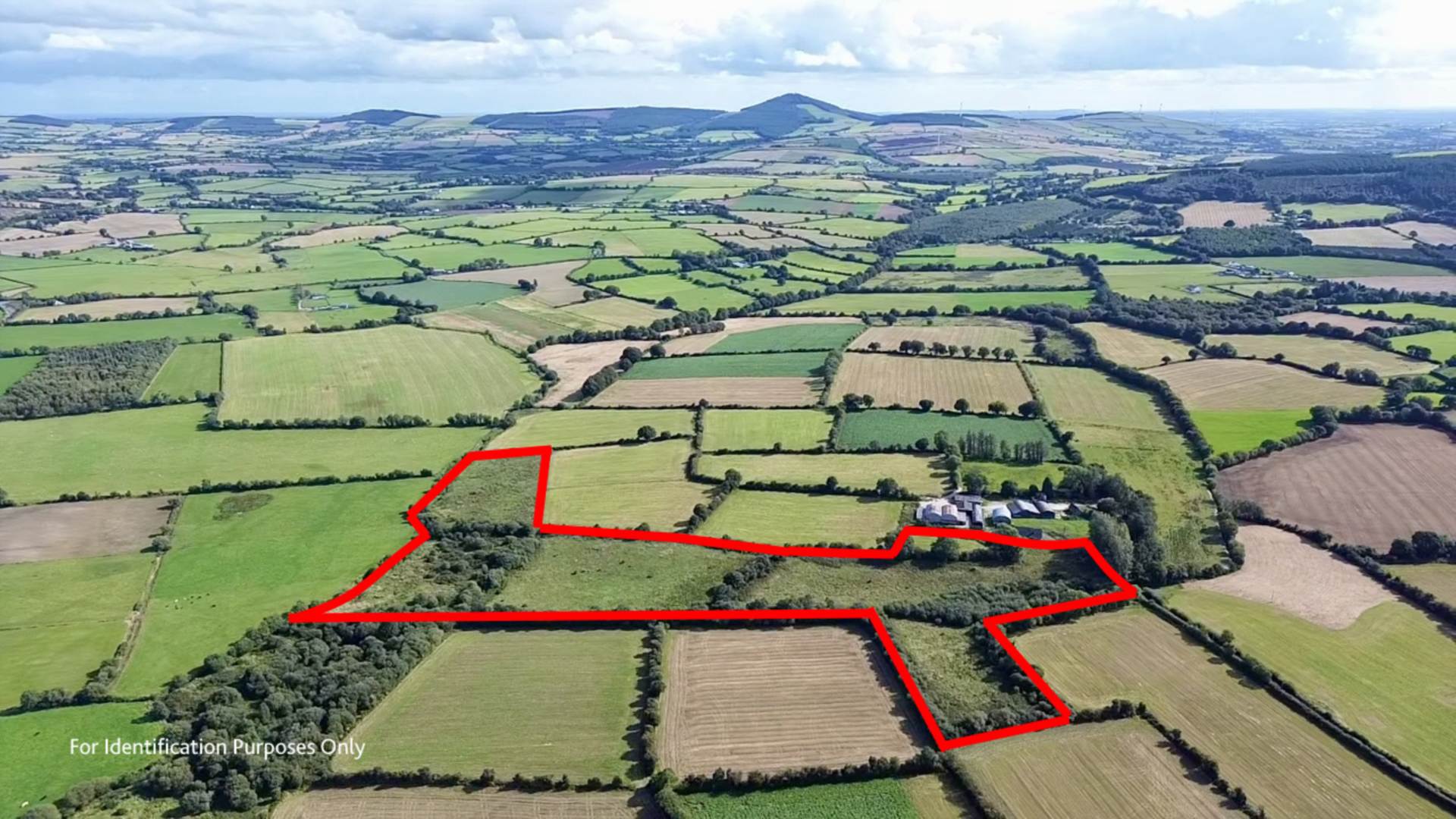 Ballingate Lower, Carnew, Co. Wicklow