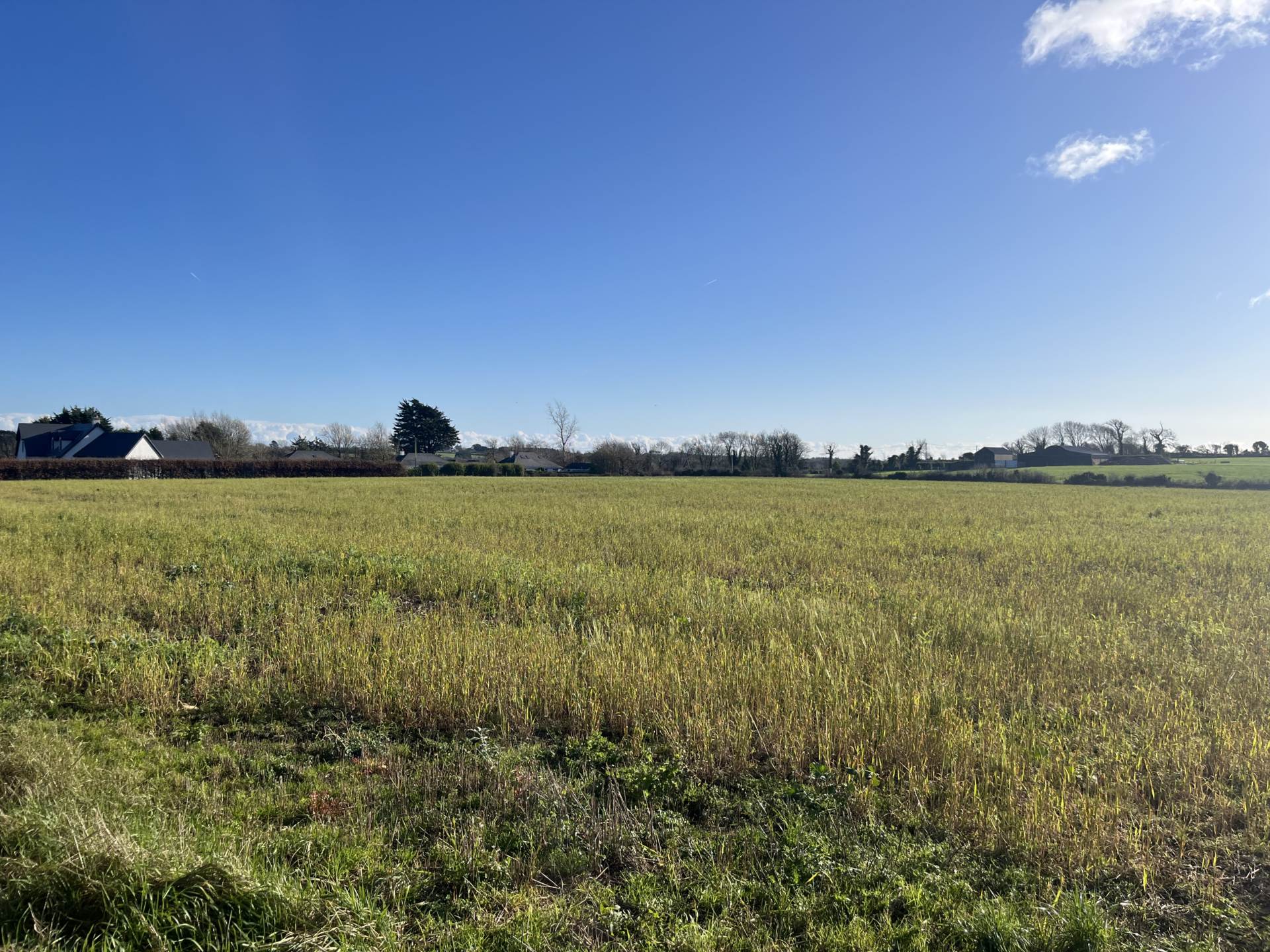 Shielbaggan, Ramsgrange, Co. Wexford