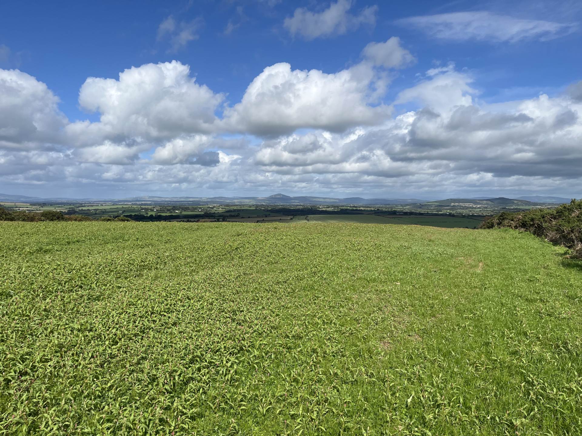 Ballineroad, Oulart, Gorey, Co. Wexford