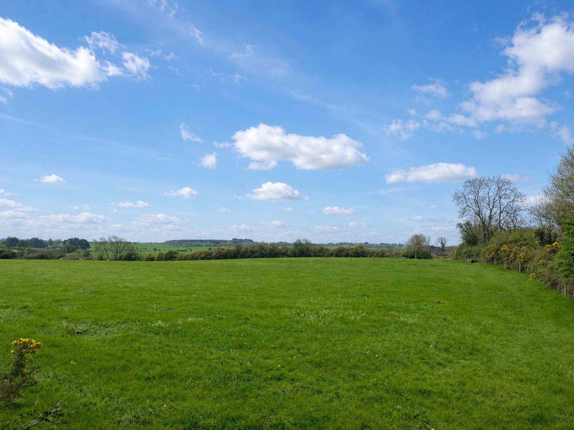 Kilnasmuttaun, Kilmuckridge, Co. Wexford