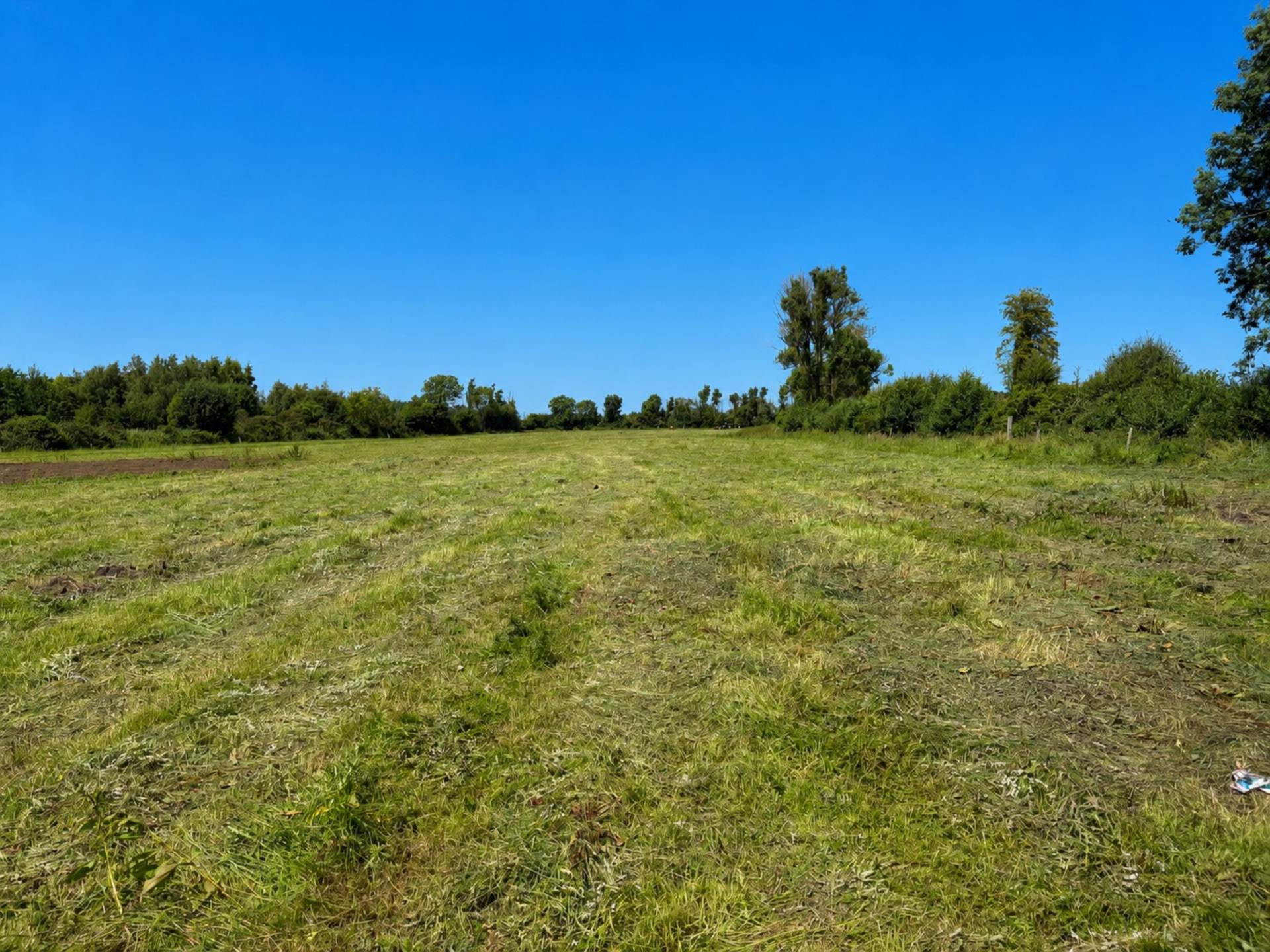 Abbeyland, Castledermot, Co. Kildare
